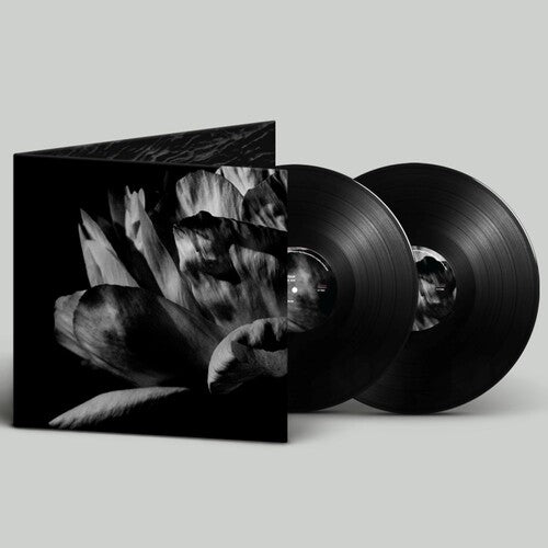 Roam,louise - La Ou Passe La Nuit - Vinyl Record