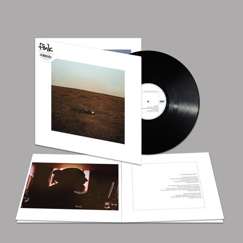 Fink - City Is Coming To Erase It All - Vinyl Record