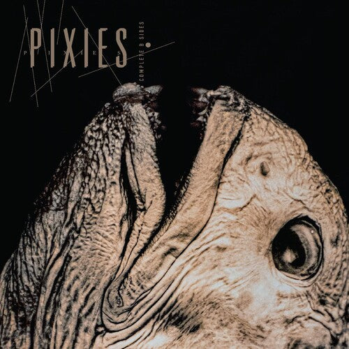 Pixies - Complete B Sides: 1988-97 - Music CD