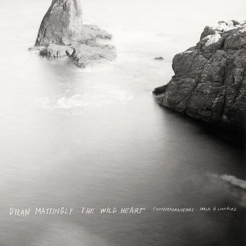 Contemporaneous / Bloom,david - Dylan Mattingly: The Wild Heart - Vinyl Record