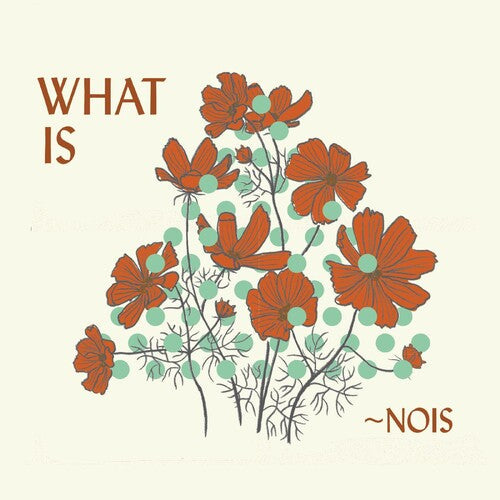 Nois - What Is Nois - Music CD