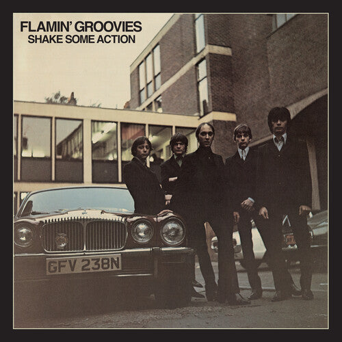 Flamin' Groovies - Shake Some Action - Music CD