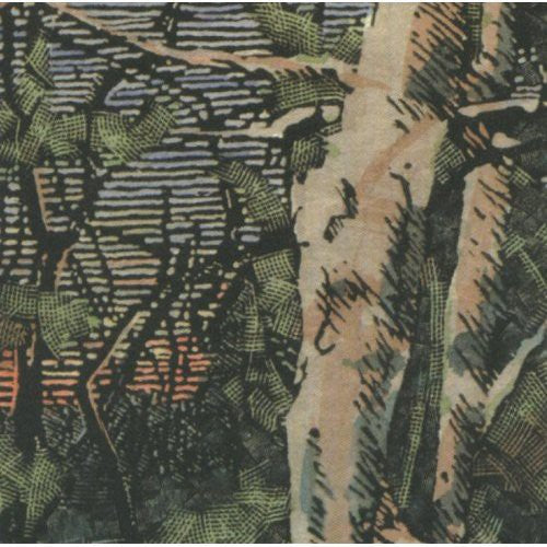 Anomoanon - Asleep Many Years In The Wood - Music CD