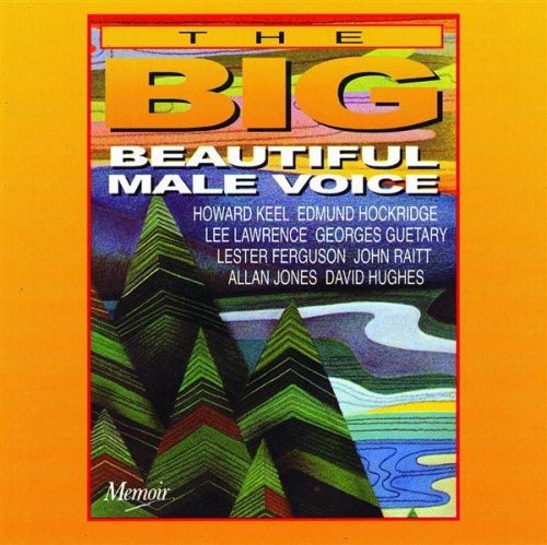 Beautiful Male Voice / Various - Beautiful Male Voice / Various - Music CD
