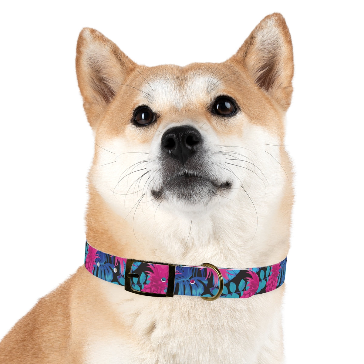 Rad Palm Pineapple Express Dog Collar
