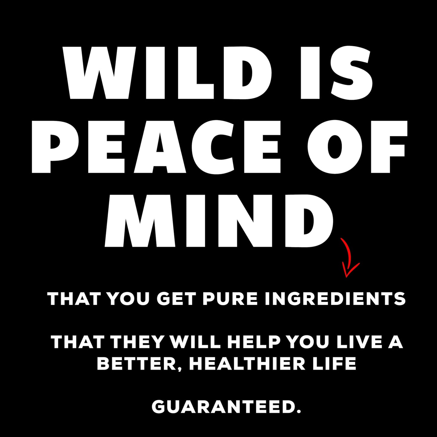 Wholesale Wild Magnesium Complex - 7x Forms