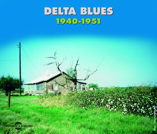 Delta Blues 1940-1951 / Various - Delta Blues 1940-1951 / Various - Music CD