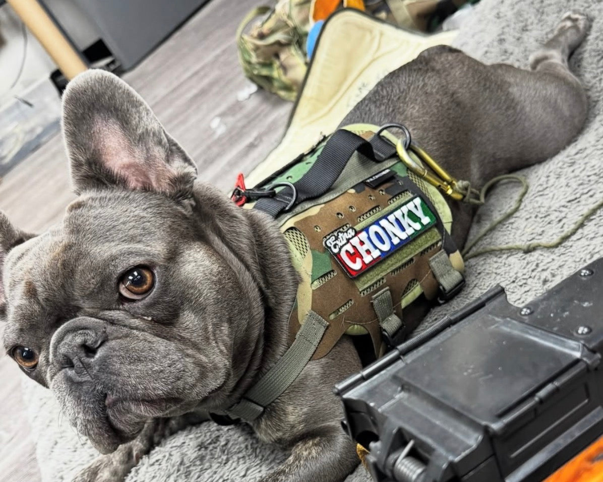 Extra Chonky Morale Patch