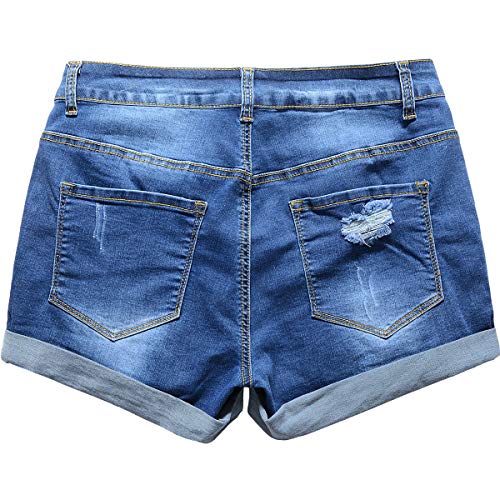 vanberfia Women's High Waist Denim Jean Raw Hem Ripped Shorts with Pockets (JS20196035-2, S)