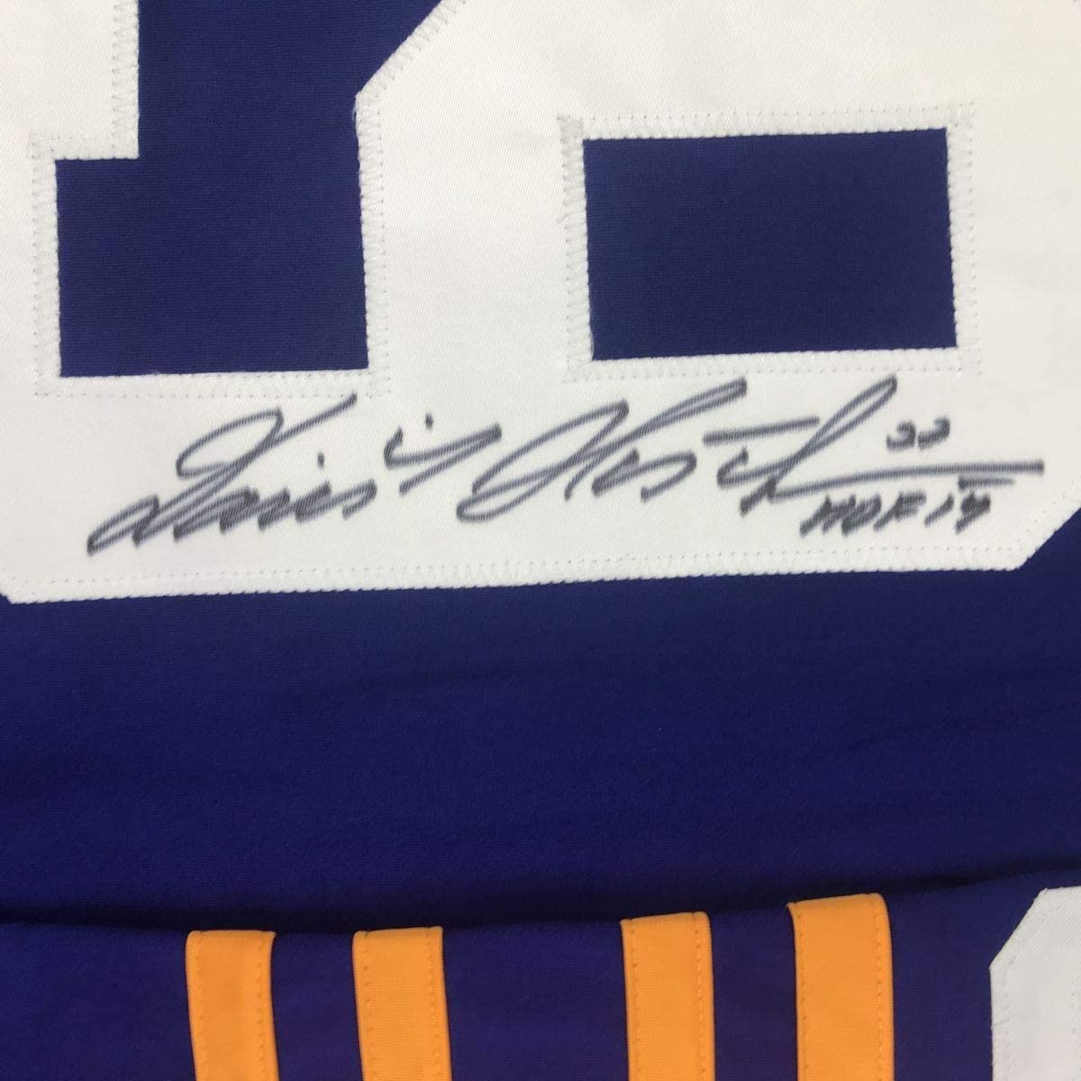 Framed Autographed/Signed Dominik Hasek HOF 14 35x39 Buffalo Alternate Blue Hockey Jersey JSA COA