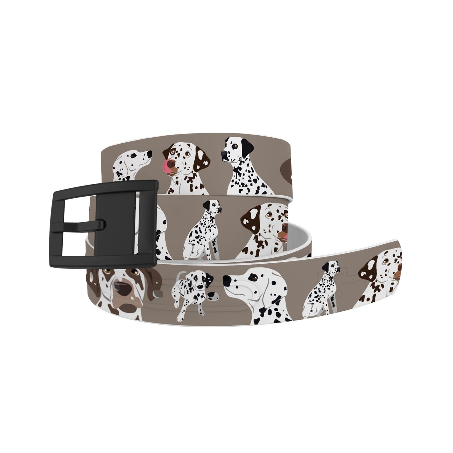Dalmatian Belt