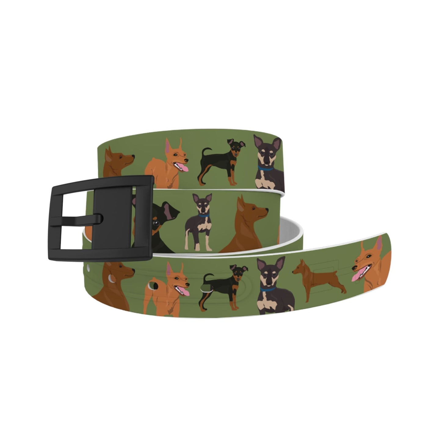 Miniature Pinscher Belt
