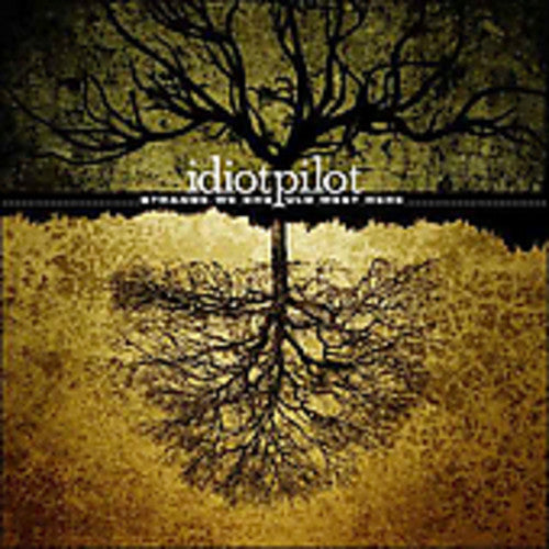 Idiot Pilot - Strange We Should Meet Here - Music CD