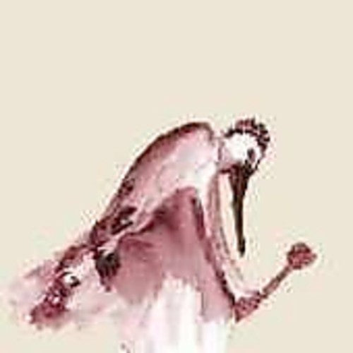 From Quagmire - Habitats in the Wound Music CD