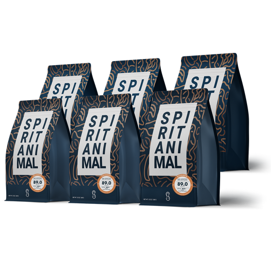 Honduran Bourbon Coffee - 6-Pack - 4.5lb