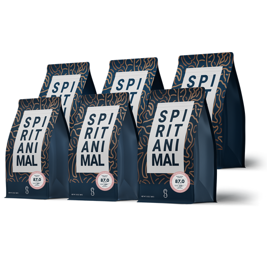 Honduran Parainema Coffee -  6-pack - 4.5lb