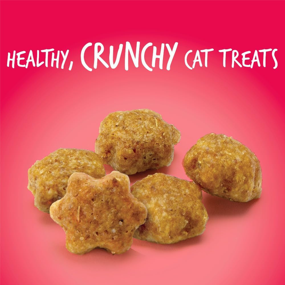 Cat Crunchy Treats made with salmon