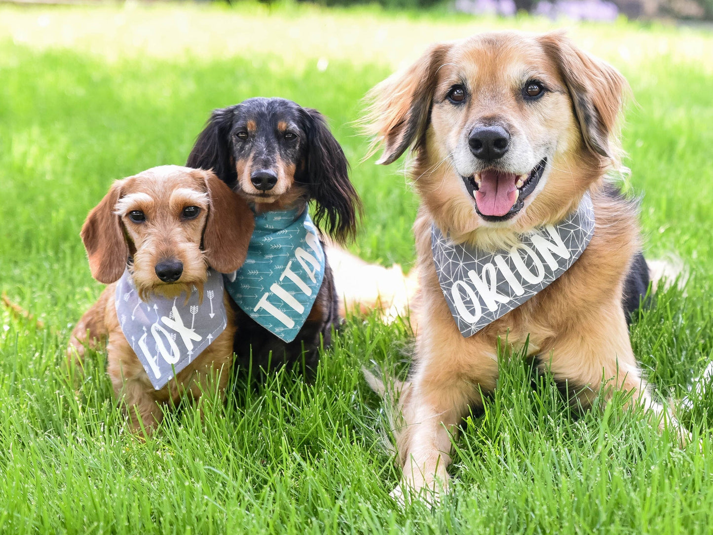 "Best Dog" Wedding Dog Bandana