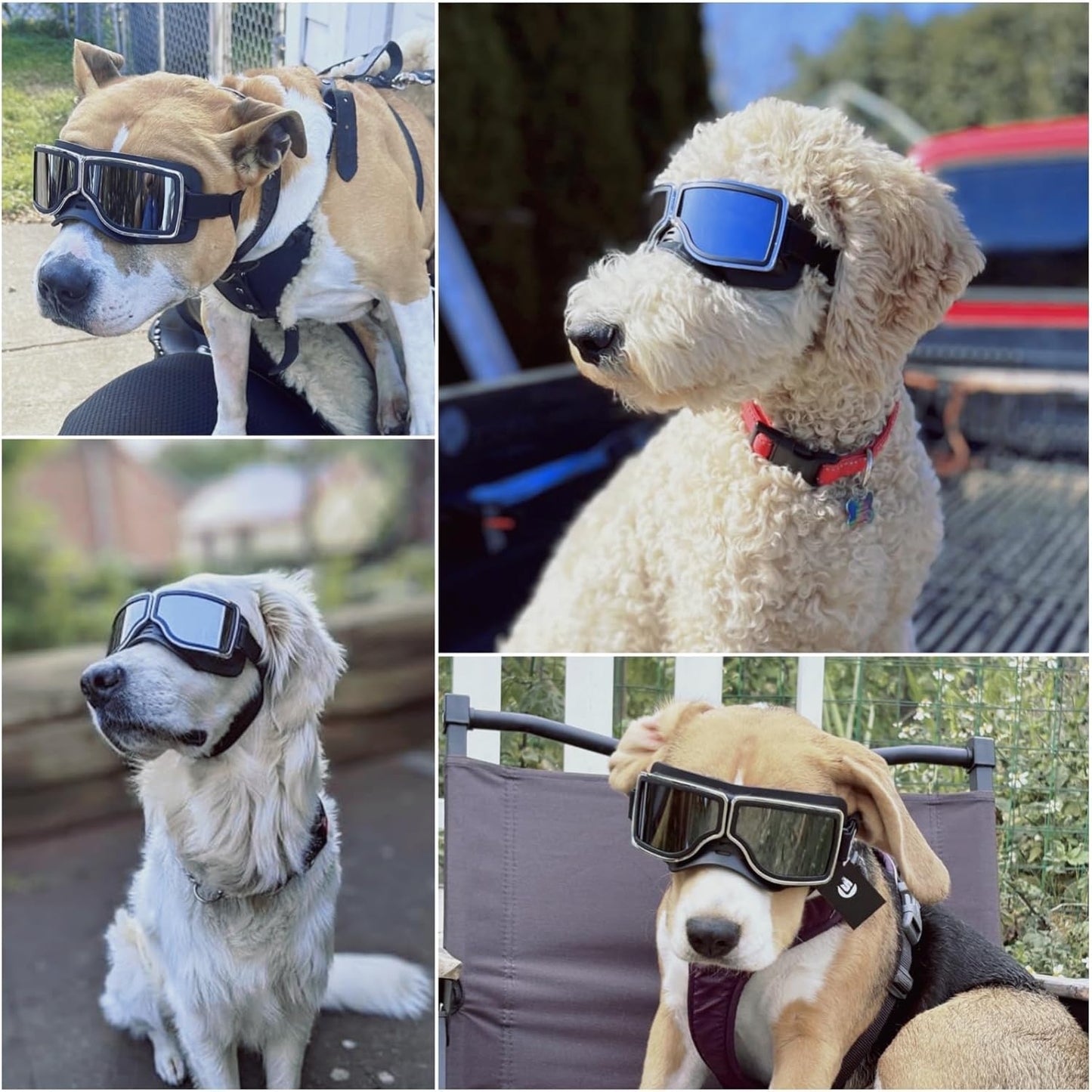 Dog Goggles Medium to Large Breed Pilot Style