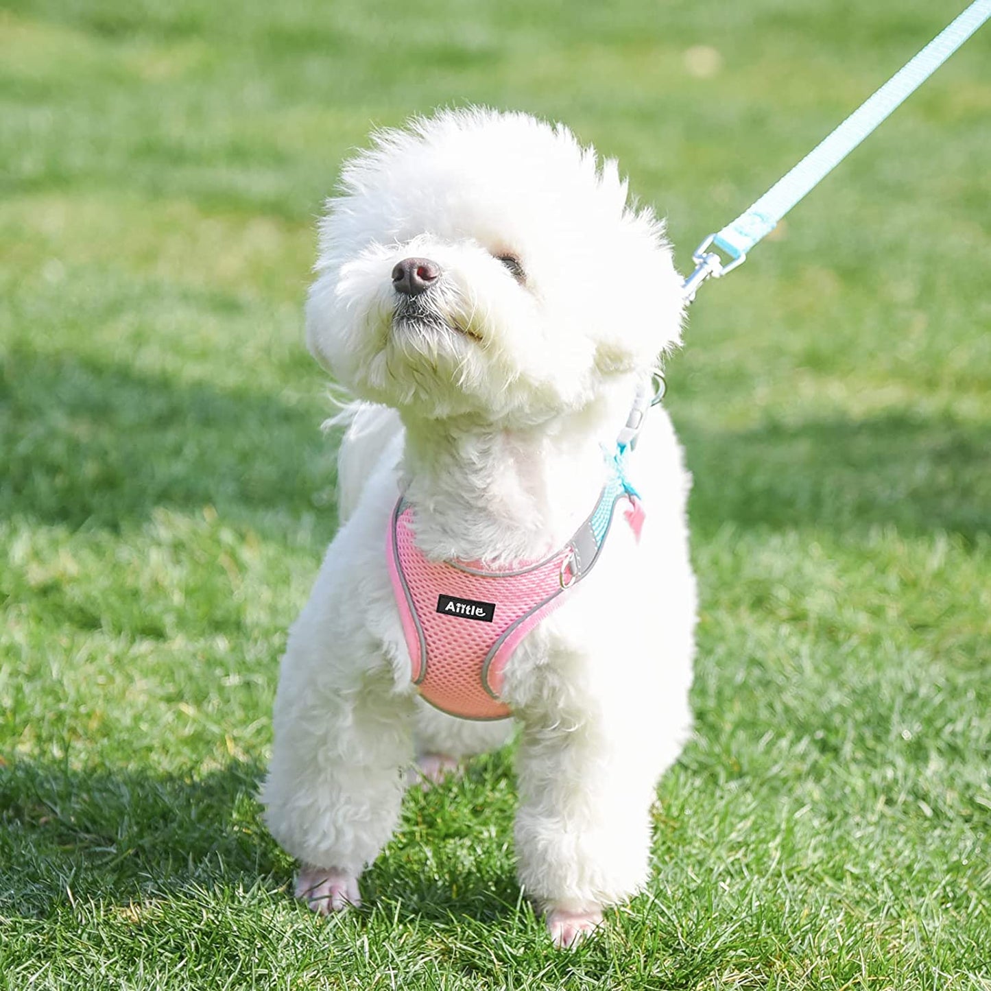AIITLE Step in Dog Harness and Leash Set - Dog Vest Harness with Super Breathable Mesh, Reflective No-Pull Pet Harness for Outdoor Walking, Training for Small Dogs, Cats Pink XXS