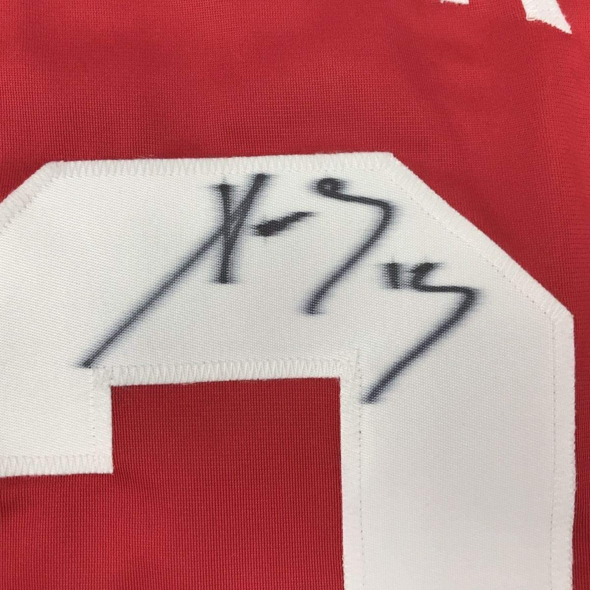 Framed Autographed/Signed Pavel Datsyuk 35x39 Detroit Red Hockey Jersey Beckett BAS COA Holo Only