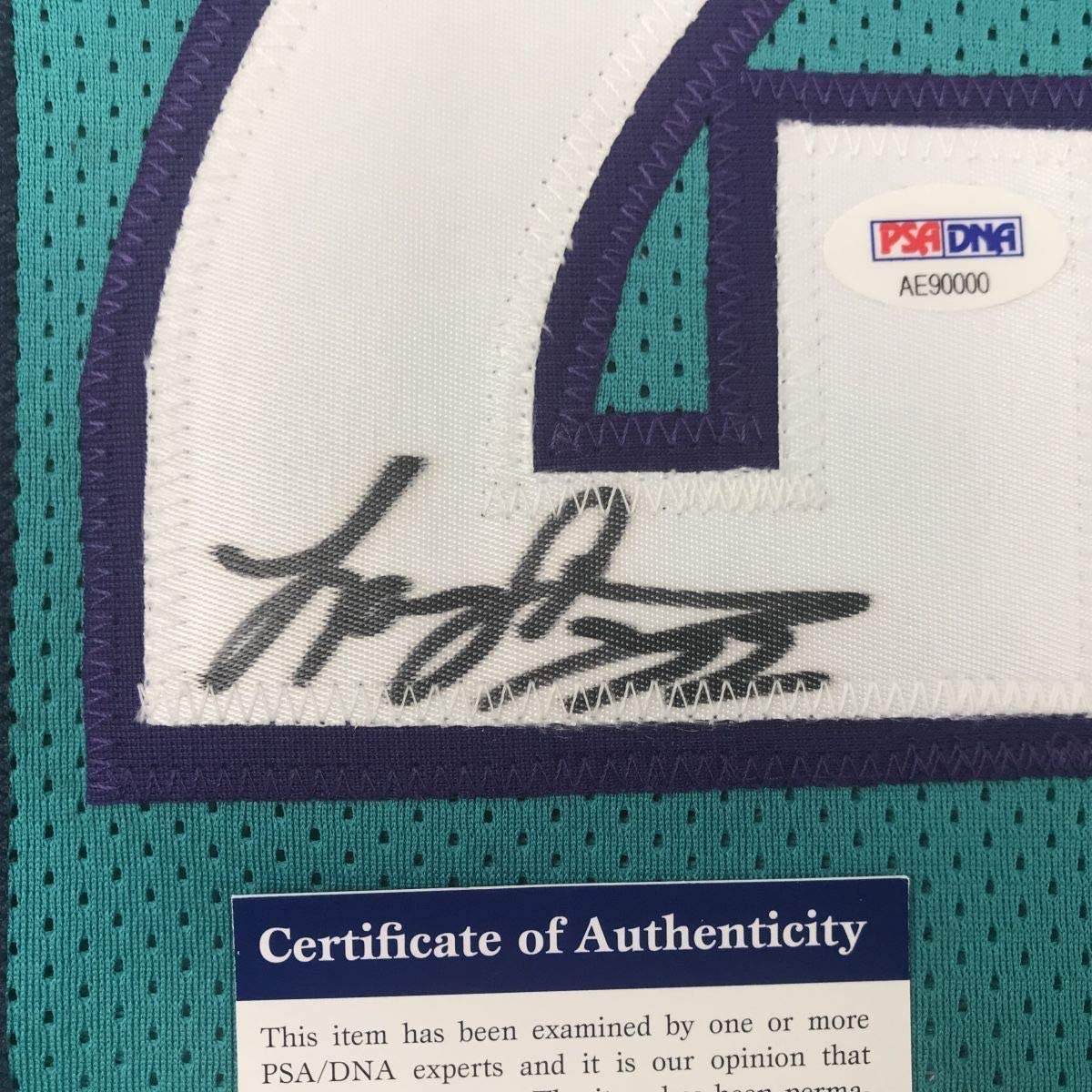 Framed Autographed/Signed Larry Johnson 35x39 Charlotte Teal Basketball Jersey PSA/DNA COA