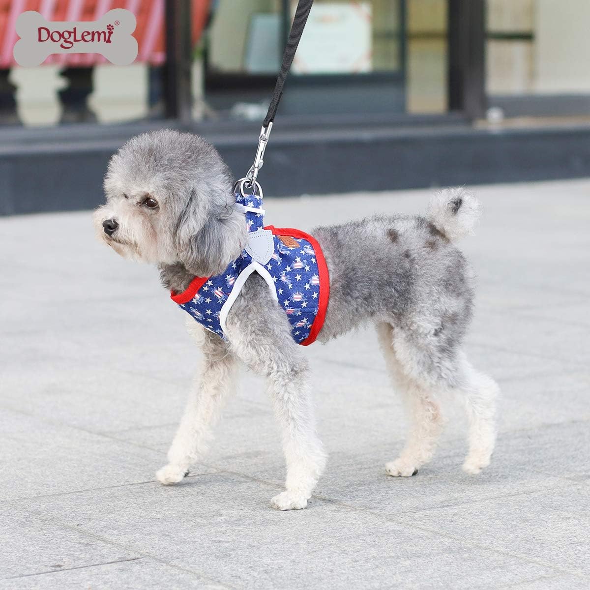 Denim Dog Harness with Star Print & Secure Buckle