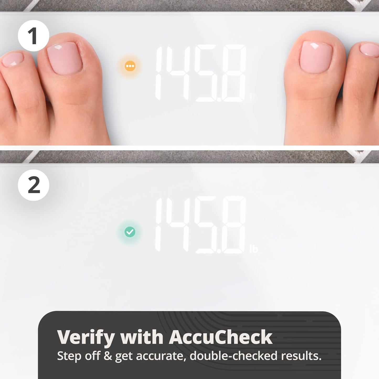 Greater Goods AccuCheck Scale for Body Weight, Bathroom Scale, Designed in St Louis, Ash Grey