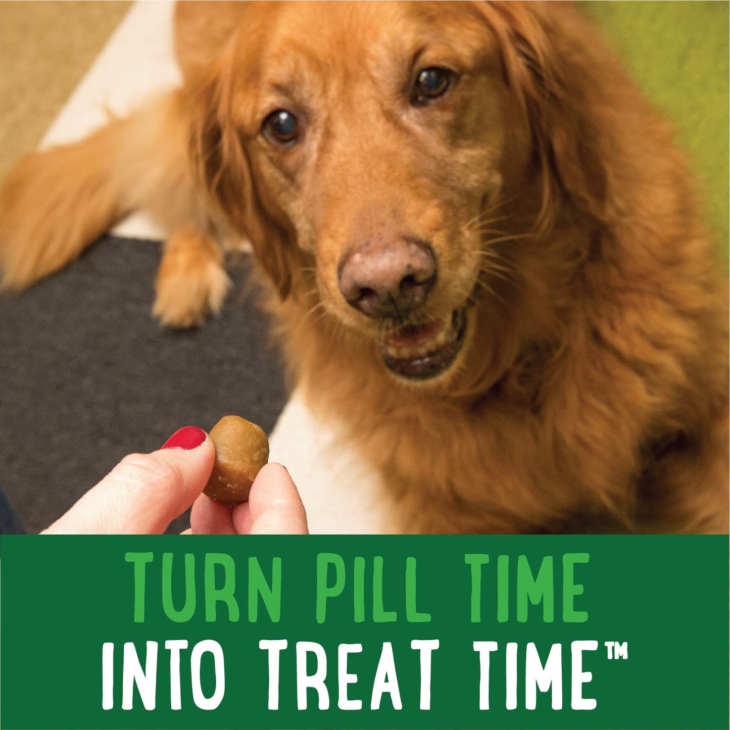 Greenies Pill Pockets Capsule Size Natural Soft Dog Treats, Chicken 7.9 oz. 30ct
