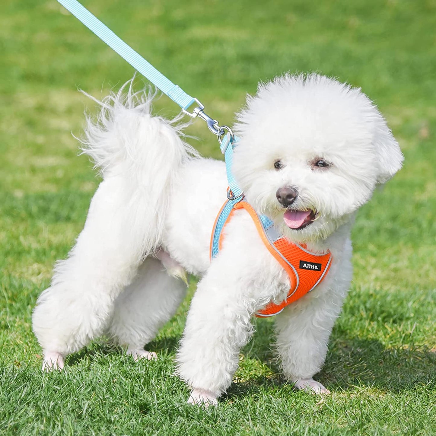 AIITLE Step in Dog Harness and Leash Set - Dog Vest Harness with Super Breathable Mesh, Reflective No-Pull Pet Harness for Outdoor Walking, Training for Small Dogs, Cats Pink XXS