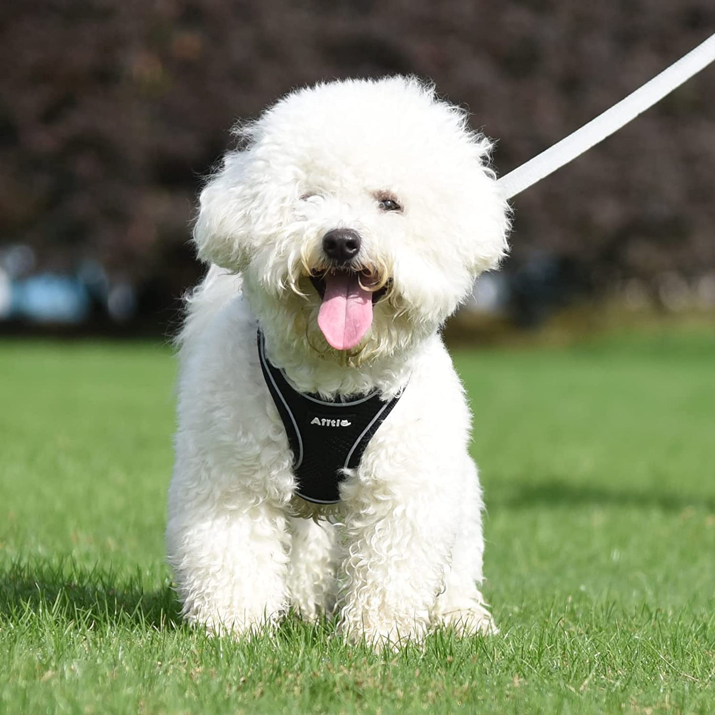 AIITLE Step in Dog Harness and Leash Set - Dog Vest Harness with Super Breathable Mesh, Reflective No-Pull Pet Harness for Outdoor Walking, Training for Small Dogs, Cats Pink XXS