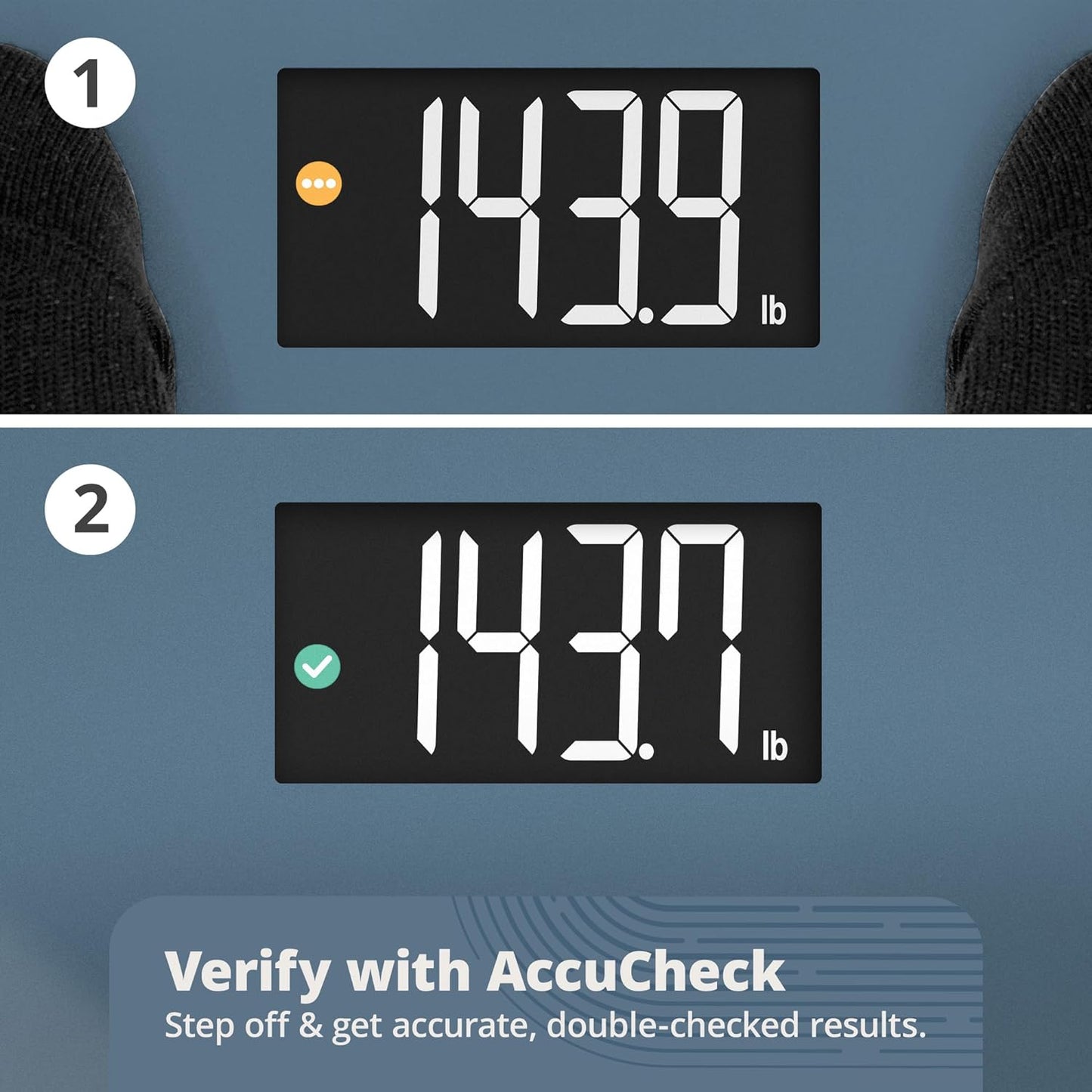 Greater Goods AccuCheck Scale for Body Weight, Bathroom Scale, Designed in St Louis, Ash Grey