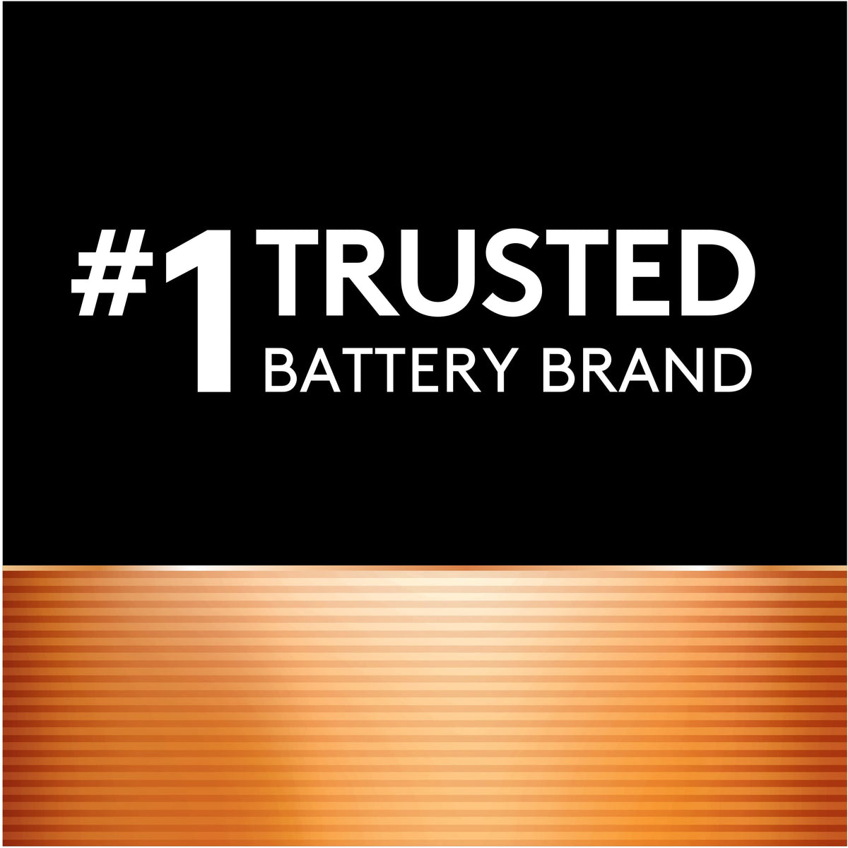 Duracell Coppertop AA Batteries with Power Boost, 16 Count