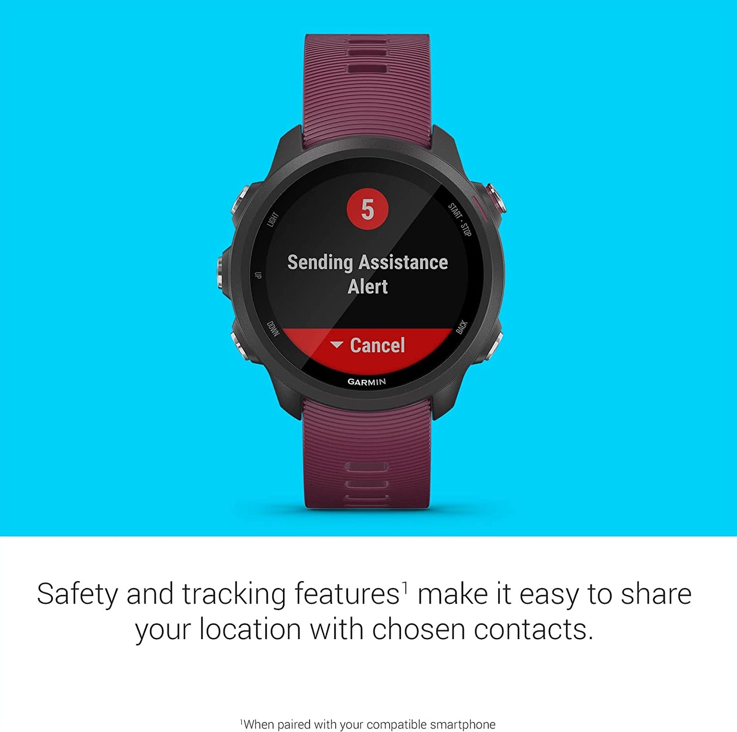 Garmin 010-02120-20 Forerunner 245 Music, GPS Running Smartwatch with Music and Advanced Dynamics, Black