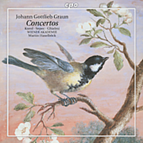 Graun / Korol / Sepec / Ghielmi / Haselbock - Concertos - Music CD