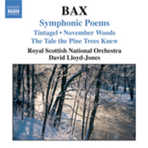 Bax / Lloyd-jones / Rsno - Symphonic Poems - Music CD