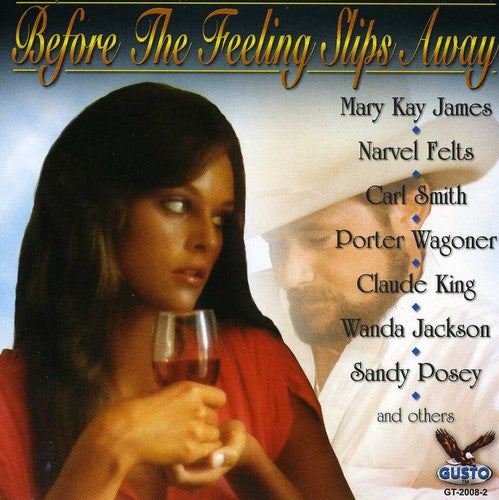 Country's Best: Before The Feeling Slips Away / Va - Country's Best: Before The Feeling Slips Away / Va - Music CD