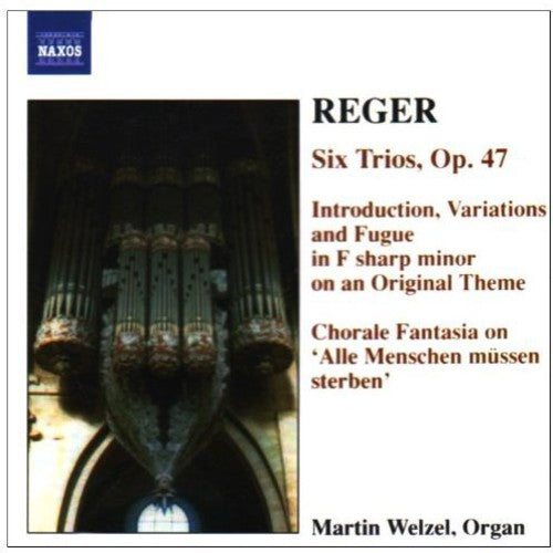 Martin Welzel - Organ Works 6 Music CD