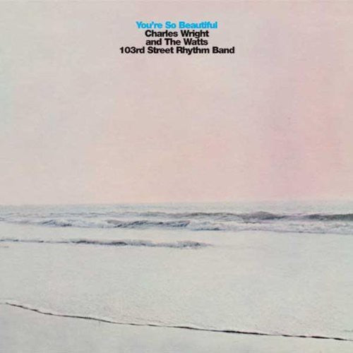 Wright,charles & Watts 103rd Street Rhythm Band - You're So Beautiful - Music CD