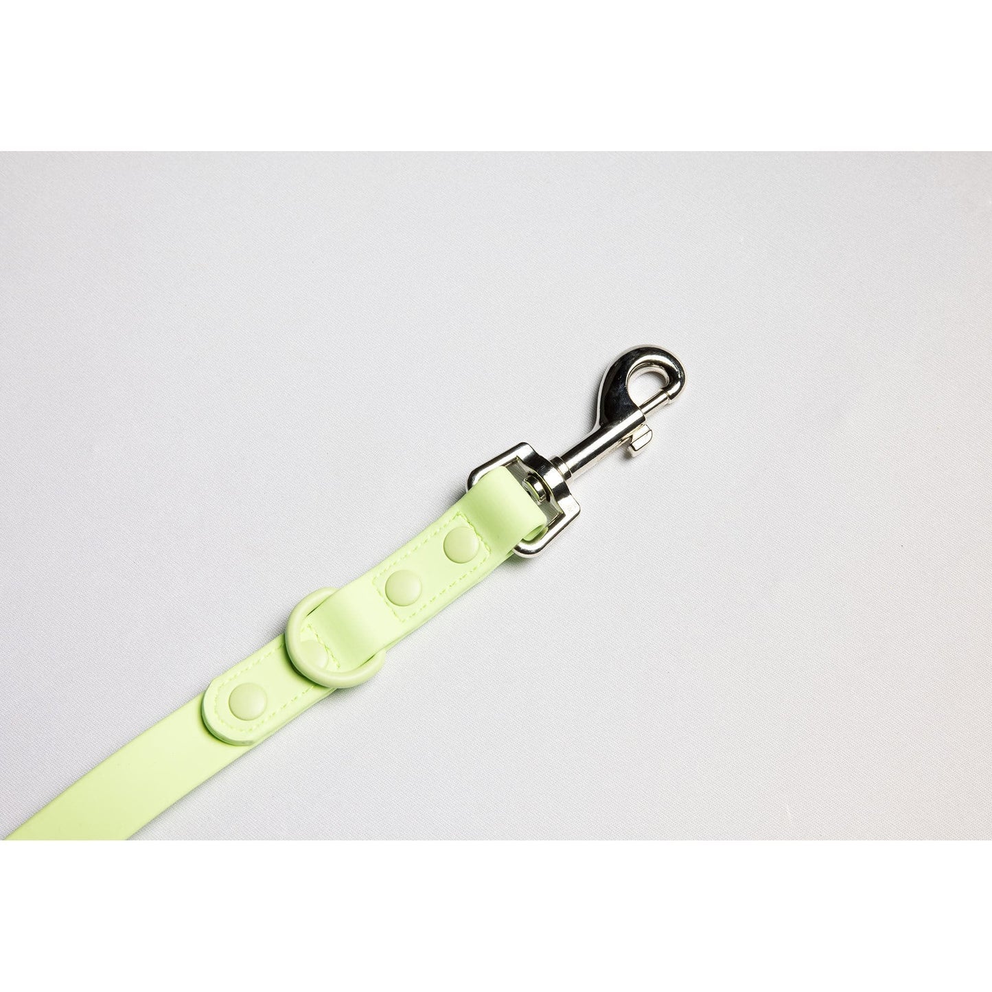 Furever 6' Leash by C4