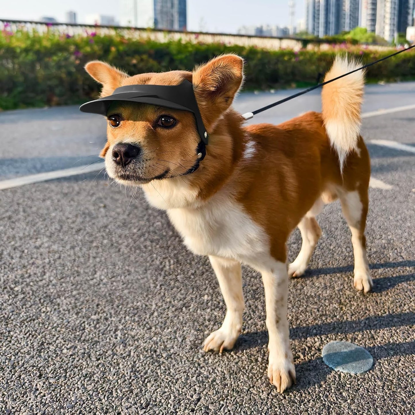 Dog goggle+sunhat sets 3 color