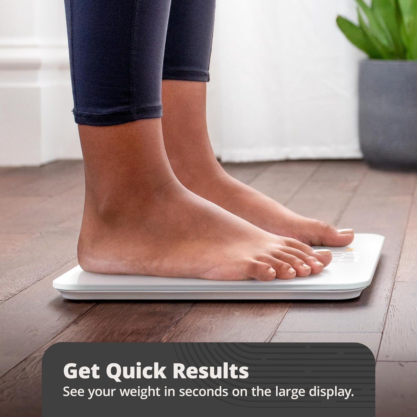Greater Goods AccuCheck Scale for Body Weight, Bathroom Scale, Designed in St Louis, Ash Grey