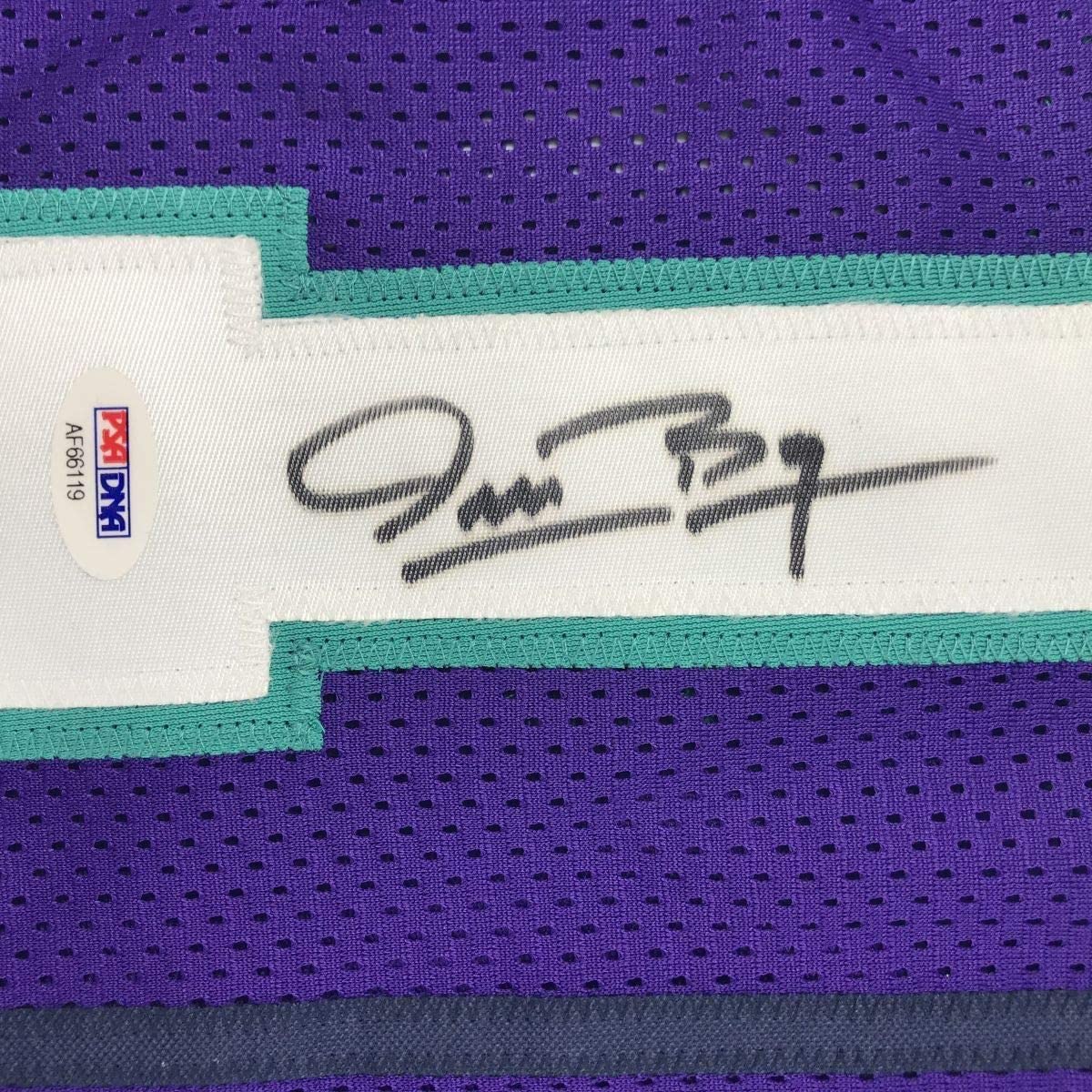 Framed Autographed/Signed Muggsy Bogues 35x39 Charlotte Purple Basketball Jersey PSA/DNA COA