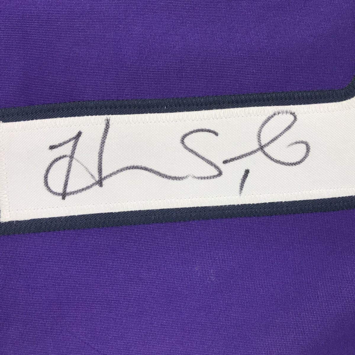 Framed Autographed/Signed Hope Solo 35x39 Purple Long Sleeve Soccer Team USA World Cup Jersey JSA COA
