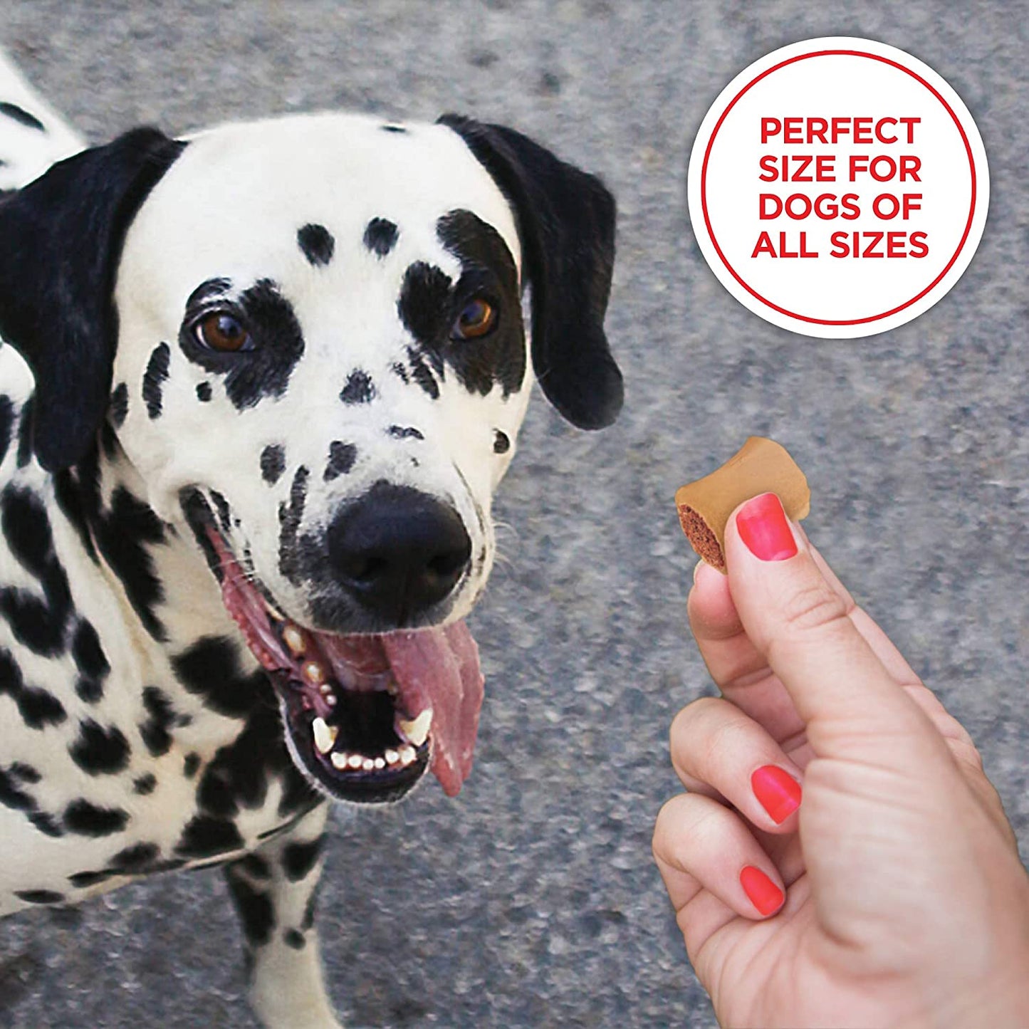 Milk-Bone MaroSnacks Dog Treats, Beef, 15 Ounce (Pack of 6)