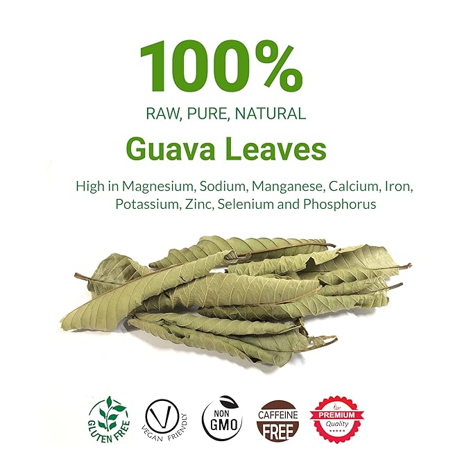 Akshit Dried Guava Leaves 100% Natural , ( Hojas De Guayaba ) | Loose Tea, Non-GMO, Vegan, Gluten-Free | Support Digestive and Immune Health  2.5 oz