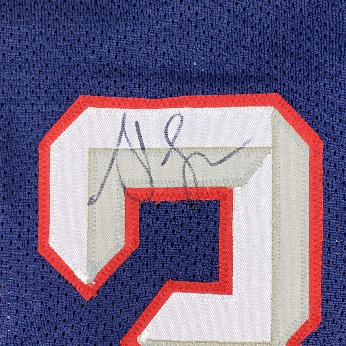 Framed Autographed/Signed Steve Francis 35x39 Houston Blue Basketball Jersey JSA COA