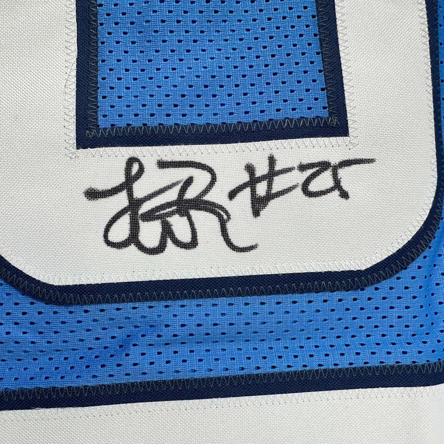 Framed Autographed/Signed LenDale White 35x39 Tennessee Light Blue Football Jersey JSA COA