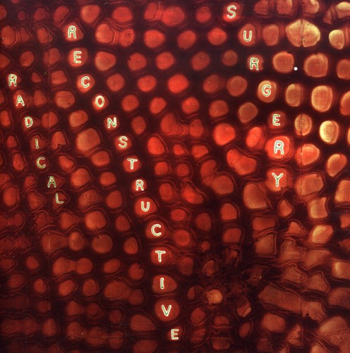 Scotty Hard Radical Reconstructive Surgery - Scotty Hard's Radical Reconstructive Surgery - John Medeski and Matthew Shipp Music CD