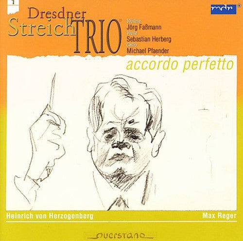 Herzogenberg / Reger / Dresden String Trio - Accordo Perfetto - Music CD